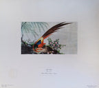 Litografía China Arte Antiguo